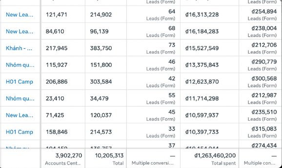 Stradex Agency campaign performance dashboard